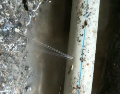 石城测漏水哪家好