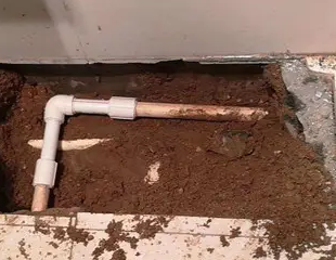 石城测漏水哪家好