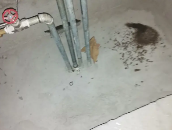 石城卫生间测漏水价格明细