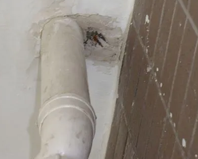 石城漏水检测哪家好